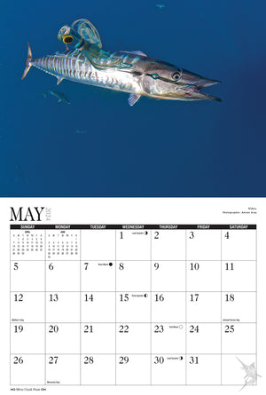 2024 Saltwater Sportsmen & Trophy Game Fish Calendar