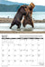 2024 Bears Calendar