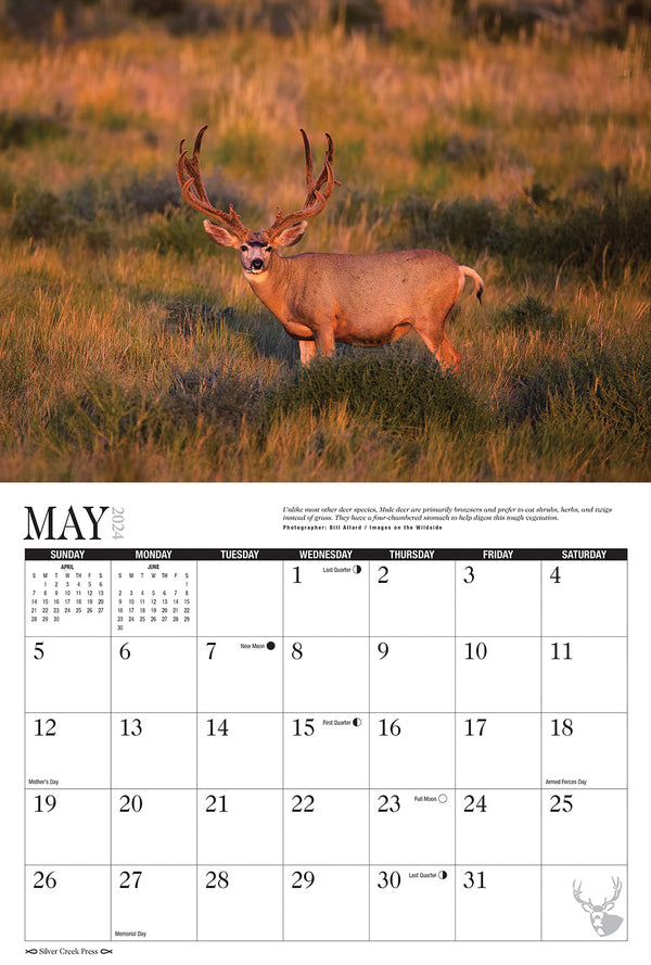 2024 Mule Deer Calendar - Silver Creek Press