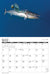 2024 Saltwater Sportsmen & Trophy Game Fish Calendar
