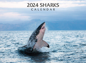 2024 Sharks Calendar