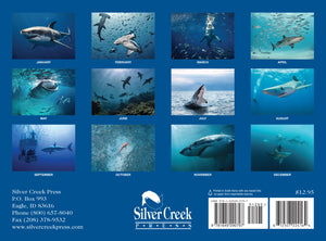 2024 Sharks Calendar