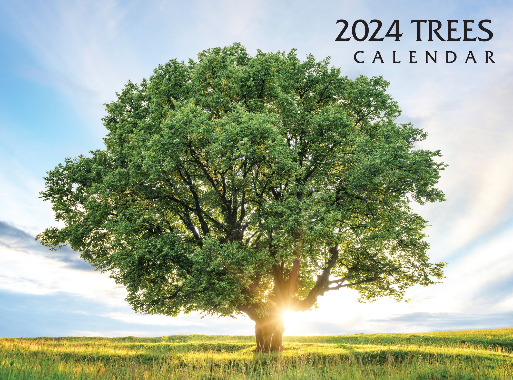 2024 Trees Calendar