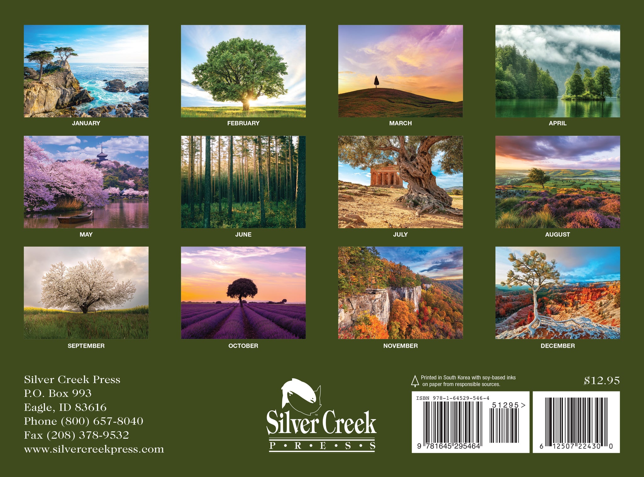 2024 Trees Calendar Silver Creek Press