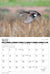 2024 Waterfowl Calendar