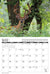 2024 Whitetail Deer Calendar