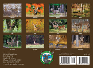 2024 Whitetail Deer Calendar