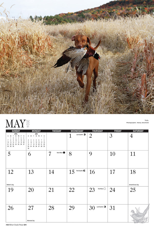 2025 Hunting Dogs Calendar Silver Creek Press