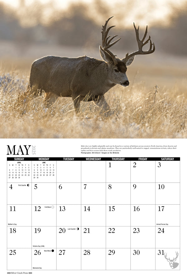 2025 Mule Deer Calendar - Silver Creek Press