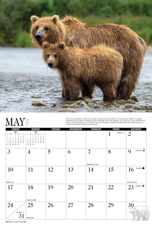 2026 Bears Calendar