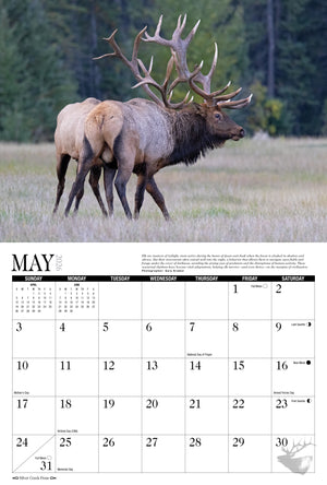 2026 Elk Calendar