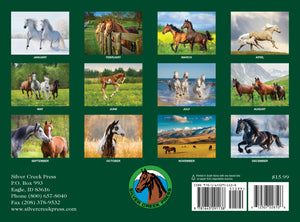2026 Horses Calendar