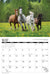 2026 Horses Calendar