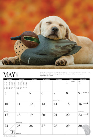 Calendar page for May with a dog and duck decoy against an autumnal background