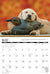 Calendar page for May with a dog and duck decoy against an autumnal background