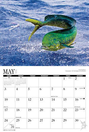2026 Saltwater Sportsmen & Trophy Game Fish Calendar