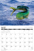 2026 Saltwater Sportsmen & Trophy Game Fish Calendar