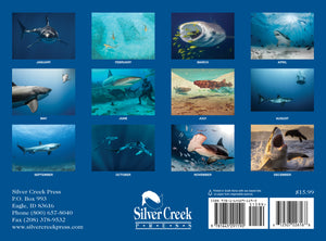 2026 Sharks Calendar
