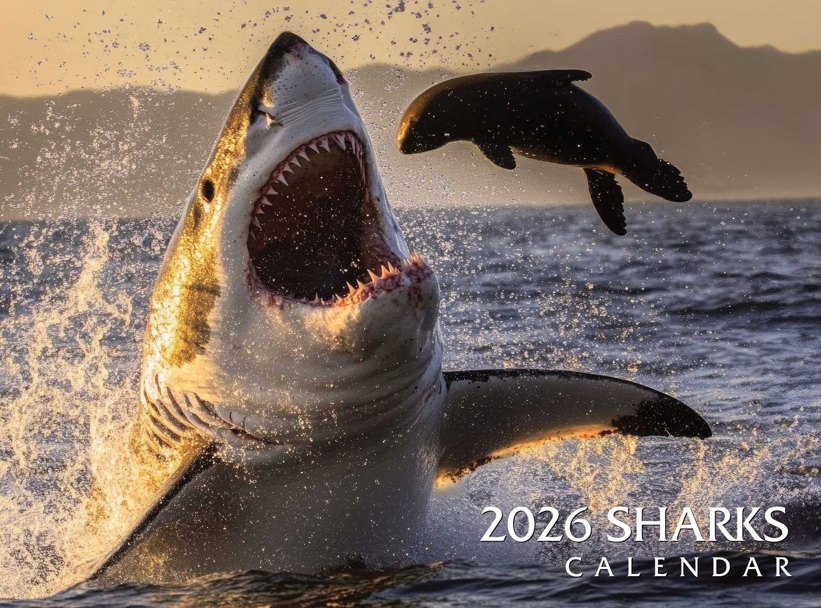 Shark calendar cover with a shark and seal in the water