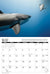 2026 Sharks Calendar