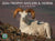 2026 Trophy Antlers & Horns Calendar