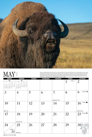 2026 Trophy Antlers & Horns Calendar