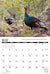 2026 Turkey Calendar