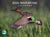 2026 Waterfowl Calendar