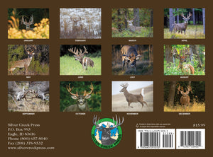 2026 Whitetail Deer Calendar