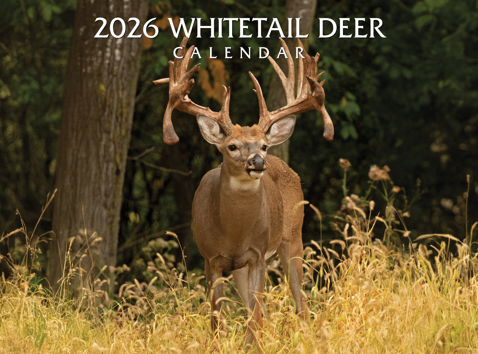 2026 Whitetail Deer calendar with a deer in a forest setting