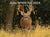 2026 Whitetail Deer Calendar