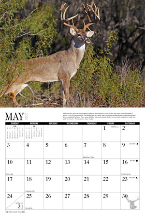 2026 Whitetail Deer Calendar