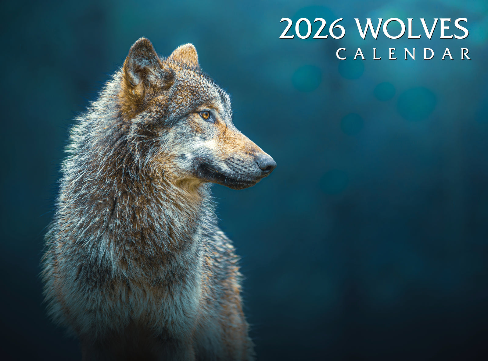2026 Wolves calendar with a wolf's profile on a dark blue background