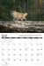 2026 Wolves Calendar