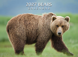 2027 Bears Calendar