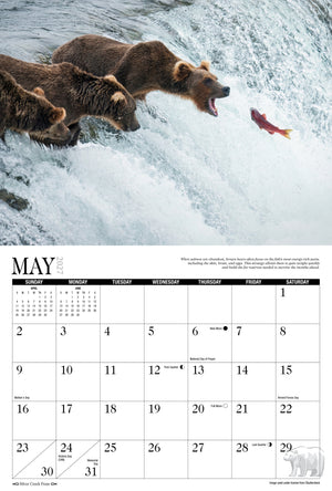 2027 Bears Calendar