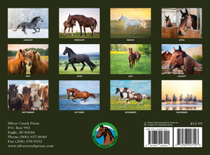 2027 Horses Calendar