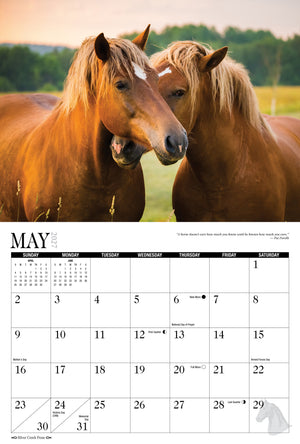 2027 Horses Calendar