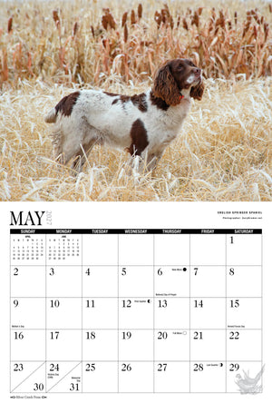 2027 Hunting Dogs Calendar