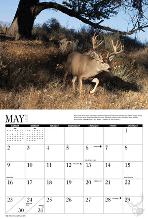 2027 Mule Deer Calendar