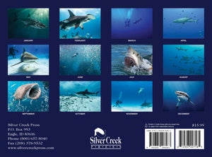 2027 Sharks Calendar