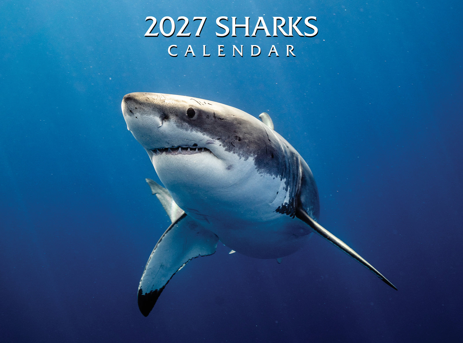 2027 Sharks Calendar