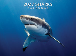 2027 Sharks Calendar