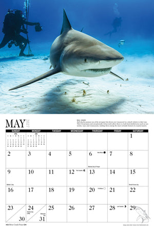 2027 Sharks Calendar