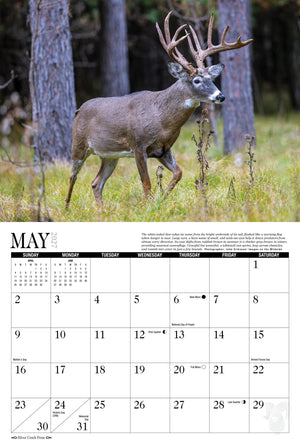 2027 Trophy Antlers & Horns Calendar