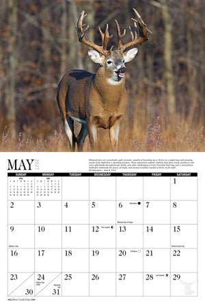 2027 Whitetail Deer Calendar