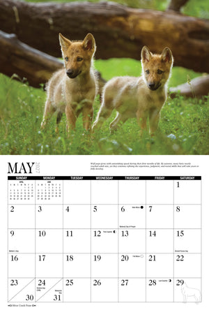 2027 Wolves Calendar