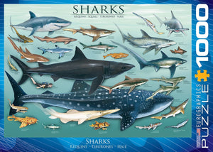Sharks Puzzle - 1,000 piece