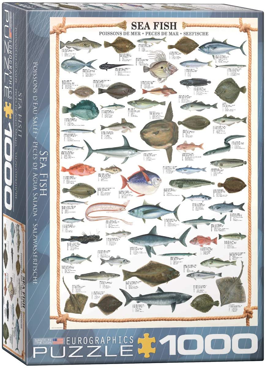 Sea Fish Puzzle - 1,000 piece