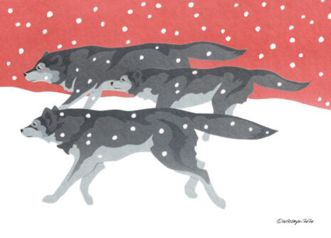 Winter Dawn Wolves - Christmas Card